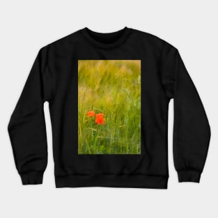 Remembrance - Wild Red Poppies Crewneck Sweatshirt